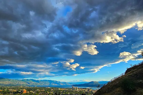 psychedelic psilocybin