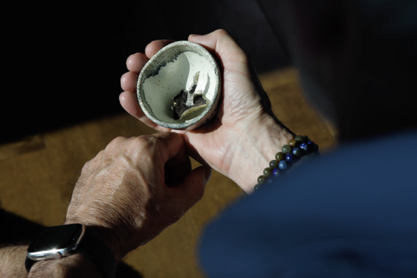 psilocybin retreat for trauma healing and CPTSD recovery